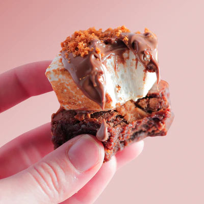 SMORES BROWNIES