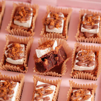 SMORES BROWNIES
