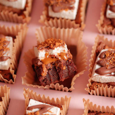 SMORES BROWNIES